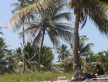 Foto 1 viaje Vacaciones en Punta Cana - Jetlager Antn