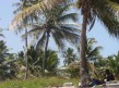 Foto 6 viaje Vacaciones en Punta Cana