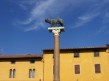 Foto 14 viaje Visita a la Torre de Pisa