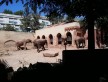 Foto 1 viaje Zoo de Lisboa - Jetlager Ana Paula