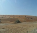 Foto 1 de Visita de 1 da al desierto de Wahiba Sands