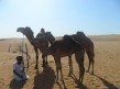 Foto 2 viaje Visita de 1 da al desierto de Wahiba Sands