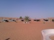 Foto 4 viaje Visita de 1 da al desierto de Wahiba Sands