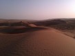 Foto 8 viaje Visita de 1 da al desierto de Wahiba Sands