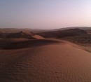 Foto 8 de Visita de 1 da al desierto de Wahiba Sands