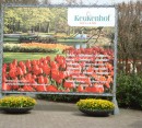Foto 2 de Jardines de Keukenhof