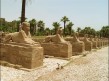Foto 6 viaje Egipto una pasada!